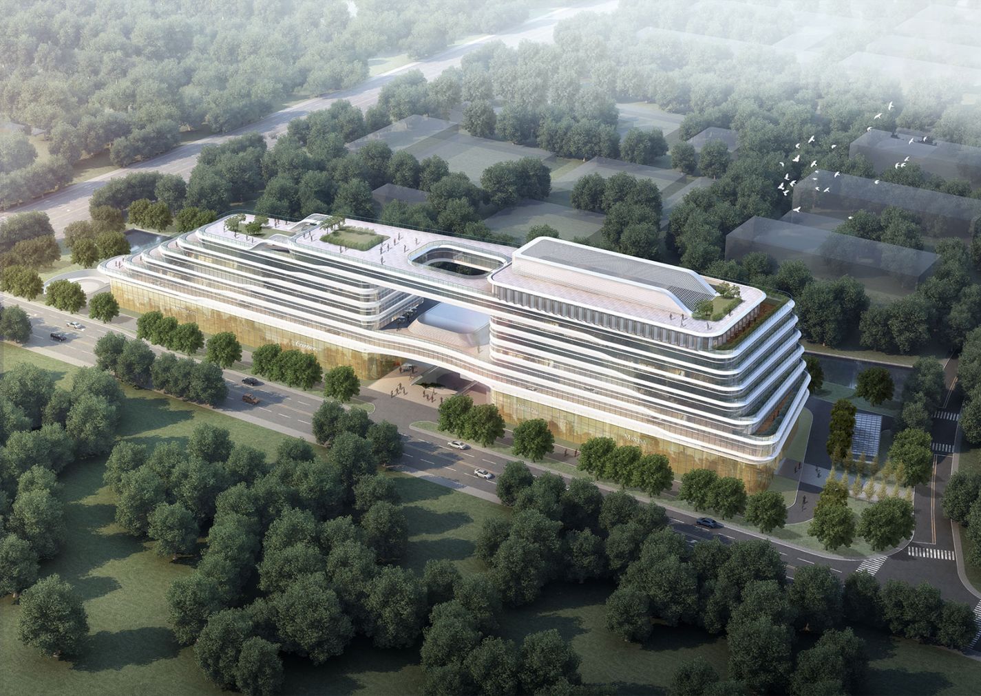 非凡国际(中国区)-官方网站